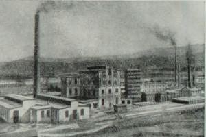 Фабрика целлюлозы в Дрваре. Фотография. 1924 год.