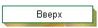 Вверх